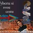 VEM