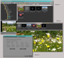 FastStone Image Viewer - obr. 1