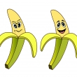 Banny_Cartoon-Vector2