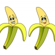 Banny_Cartoon-Vector1
